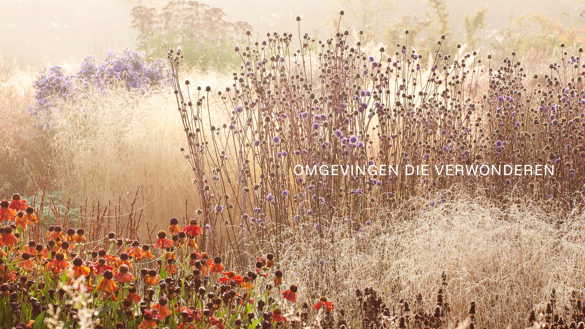 Fotografie Hans van Horssen