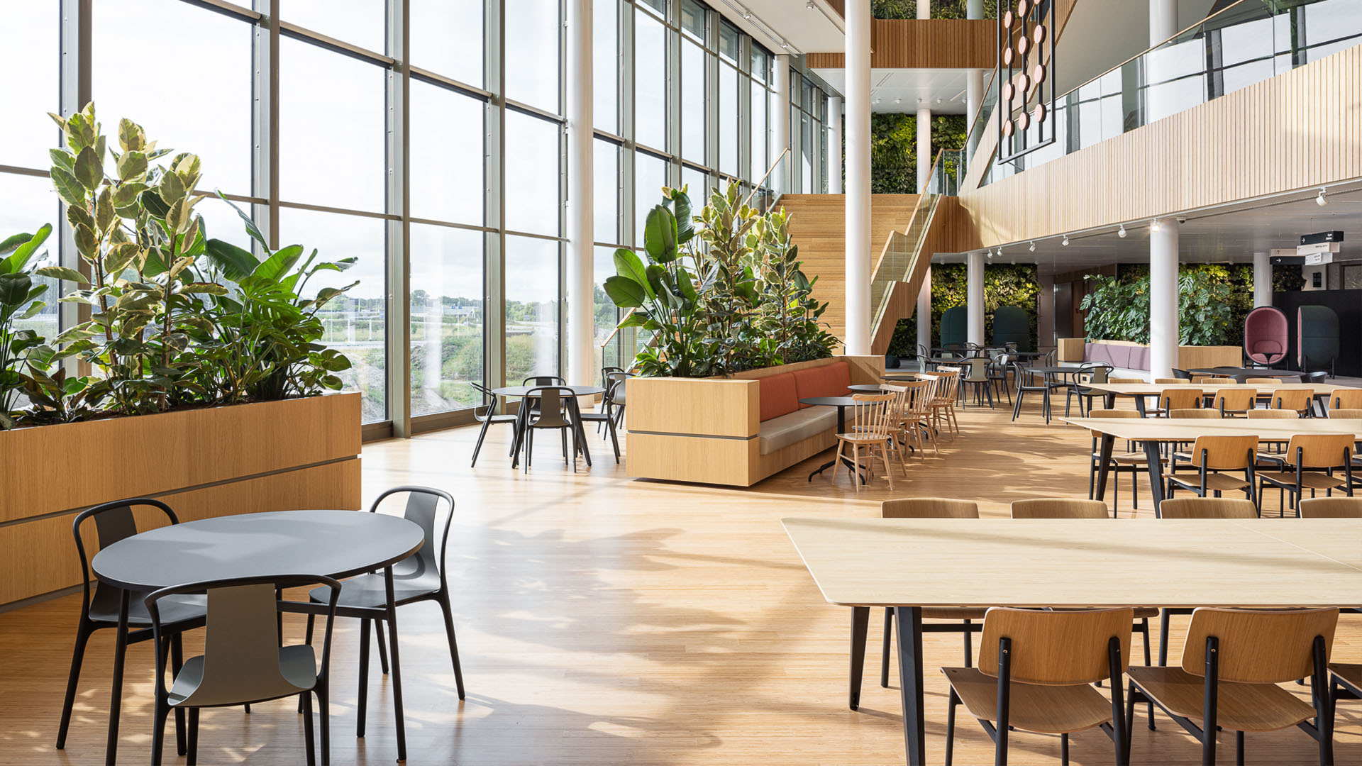 Galapagos (@ CBRE Nederland) Fotografie Stijn Poelstra